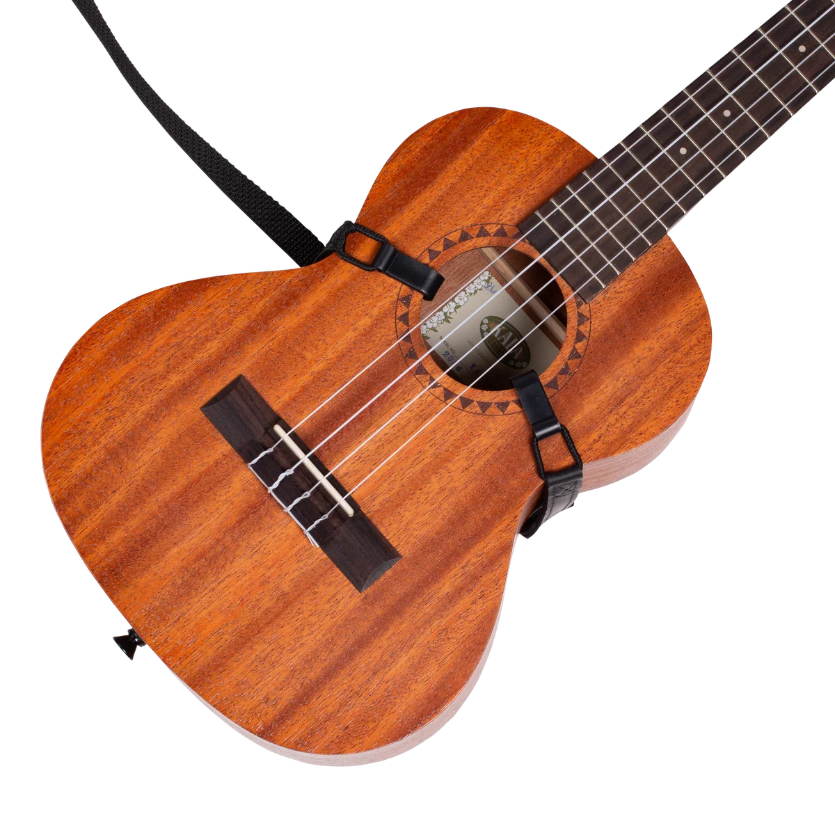 Mandolin Series - Image 17